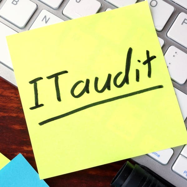 IT Auditing
