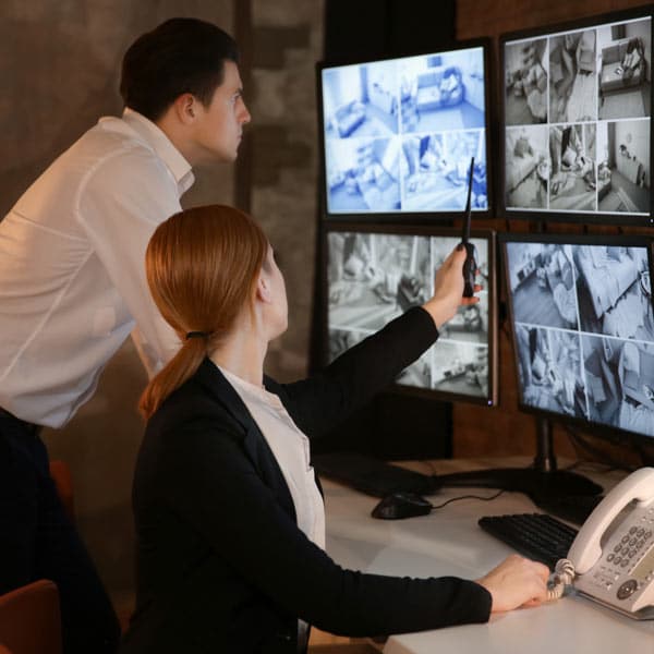 digital surveillance system