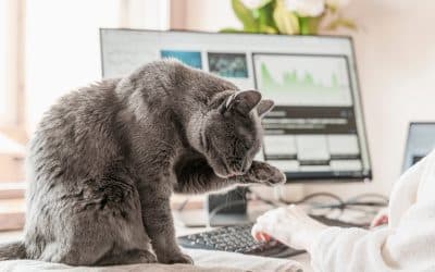 How the Rise of Remote Work Increased Security Risks